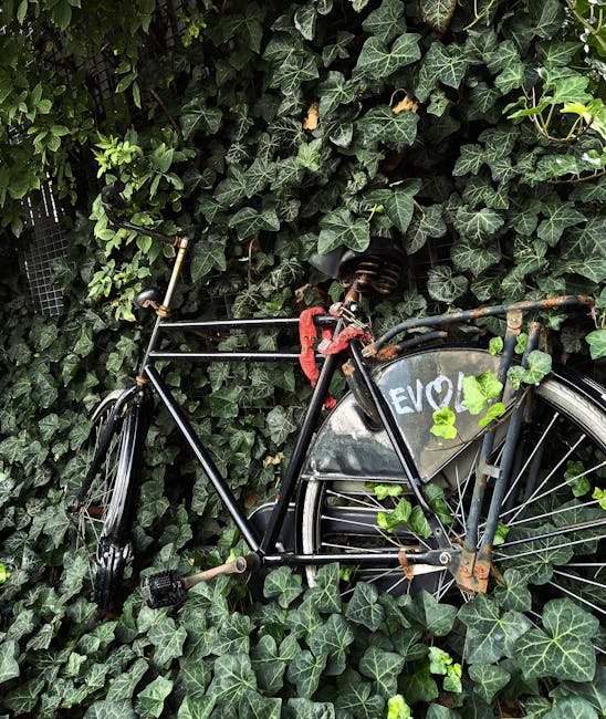 Upcycling: Turning Trash into Treasure